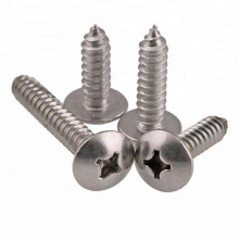 Stainless Steel SS304 Cross Recess Pan Head Self Tapping Screw DIN7981